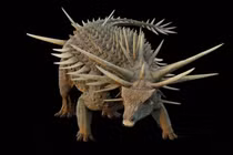 Hóa thạch phát hiện ở Maroc hé lộ loài khủng long lạ