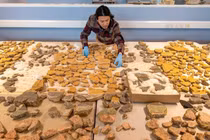 Hé lộ tranh bích họa La Mã cổ sau 2.000 năm vỡ vụn