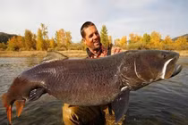 Những “quái vật” nước ngọt có thật dài hàng mét, nặng cả tấn