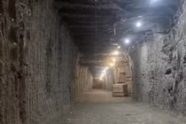 Các nhà khoa học 'đánh thức' sự sống bị 'phong ấn' suốt 40.000 năm