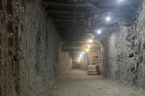 Các nhà khoa học 'đánh thức' sự sống bị 'phong ấn' suốt 40.000 năm