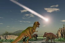 Hóa thạch quý hiếm ở New Mexico hé lộ bí mật loài khủng long