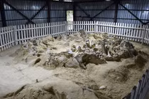 Bí ẩn 4 tòa nhà cổ 18.000 năm xây từ xương quái thú