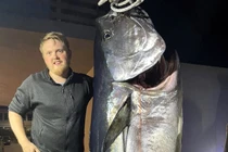 Cá ngừ khủng 280kg dài 2,4 mét khiến cần thủ ngỡ ngàng