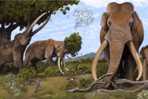 Loài 'quái thú' nặng 13 tấn bị người Neanderthal săn bắt nhiều