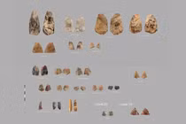 Phát hiện vũ khí 80.000 năm hé lộ bí ẩn người Neanderthal cổ đại