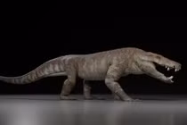 Bí ẩn siêu quái thú ăn thịt khủng long 70 triệu năm trước