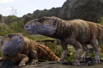 Giật mình sự thật về hóa thạch khủng long có sừng tìm thấy ở châu Âu