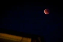 Mãn nhãn ảnh "trăng máu" tuyệt đẹp ở Việt Nam