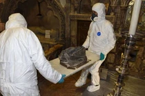 View - Trồng cây chanh trong nhà đúng vị trí hút lộc, tài lộc ùn ùn đến | Báo Tri thức và Cuộc sống - TIN TỨC PHỔ BIẾN KIẾN THỨC 24H