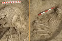 Thiếu niên sống sót kỳ diệu sau khi bị sư tử tấn công 6.200 năm trước