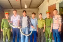 Người dân giao nộp loạt động vật quý hiếm cho Vườn Quốc gia Vũ Quang