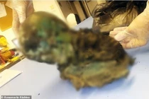 Vén màn bí ẩn xác ướp chuyển màu xanh huyền bí