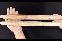 Công cụ săn bắt cá voi khoảng 5.000 tuổi chứa bí mật khó tin