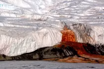 Sự thật gây sốc về “thác máu” đỏ rực giữa băng tuyết Nam Cực