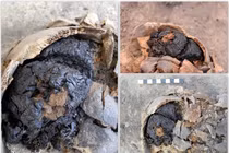  Phát hiện bộ não cổ đại nguyên vẹn sau hơn 4.000 năm chôn vùi