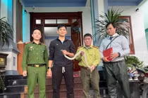 Bắt gặp trăn đất quý hiếm trên đường, người dân Quảng Trị lập tức báo