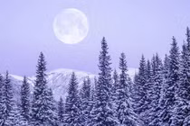 'Trăng tuyết' tuyệt đẹp xuất hiện trên bầu trời tối 2/2