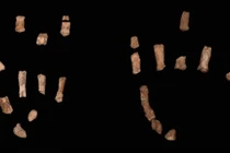 Mẫu bàn tay hóa thạch người cổ đại hé lộ bí mật bất ngờ