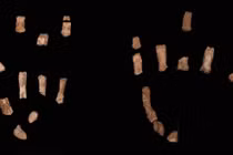 Mẫu bàn tay hóa thạch người cổ đại hé lộ bí mật bất ngờ