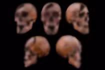 'Nội soi' hài cốt Công tước Hungary hé lộ cái chết tàn bạo