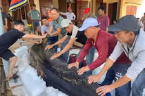 Điều đặc biệt trong nghi lễ an táng cá voi ở Việt Nam