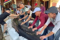 View - Loài cá 'ngầu' nhất hành tinh, toàn thân bọc giáp cứng như thép | Báo Tri thức và Cuộc sống - TIN TỨC PHỔ BIẾN KIẾN THỨC 24H