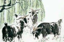 Tử vi tuần mới (10 - 16/11): 3 con giáp thăng tiến, tình duyên nở rộ