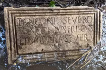 Đi tìm măng tây, cựu lính cứu hỏa phát hiện khảo cổ quý hiếm