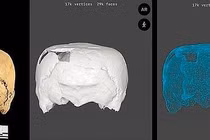 Hộp sọ giống hình khối lập phương cổ đại khiến chuyên gia 'rối não'