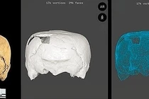 Hộp sọ giống hình khối lập phương cổ đại khiến chuyên gia 'rối não'