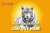 Loài quý hiếm!