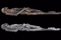 Bí ẩn xác ướp có hình xăm phức tạp cách đây 2.300 năm