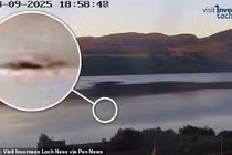 Thủy quái hồ Loch Ness bất ngờ trồi lên giữa ban ngày