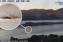 Thợ săn choáng váng chứng kiến thủy quái hồ Loch Ness khổng lồ xuất hiện