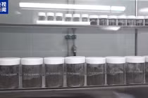 Mẫu vật đất Mặt Trăng hé lộ bí mật hàng tỷ năm tuổi