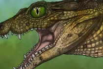 Giật mình hộp sọ tí hon 95 triệu năm tuổi của loài cá sấu chưa từng thấy 