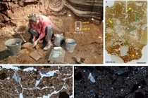 'Viên nang thời gian sinh học' hé lộ bí ẩn về lịch sử loài người