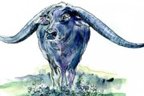 Tử vi tuần mới (2 - 8/2): 3 con giáp may mắn bậc nhất, cuộc sống giàu sang