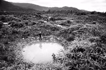 Vì sao chiến lược ngăn chặn Đường Hồ Chí Minh của Mỹ thất bại?