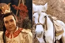 Vì sao Tam Thái tử Long cung không giúp Ngộ Không cầu mưa?