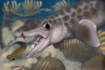 Tìm thấy hóa thạch cá mập cổ đại sâu bên trong hang động Mỹ