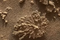 Xôn xao vật thể kỳ lạ như san hô trên sao Hỏa