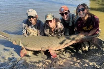 Tóm sống cá sấu khổng lồ trên sông, chuyên gia làm việc khó ngờ