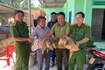 Người dân Lâm Đồng giao nộp rùa cá sấu quý hiếm