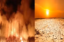 Năm 2025, biến đổi khí hậu gây thiệt hại hơn 120 tỷ USD 