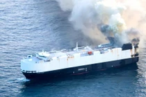 View - Người giàu thích trồng 3 cây cảnh 'giữ nhà', tuổi thọ cao | Báo Tri thức và Cuộc sống - TIN TỨC PHỔ BIẾN KIẾN THỨC 24H