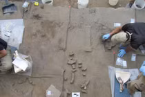 Công cụ bằng ngà voi 14.000 năm tuổi hé lộ bí mật tổ tiên loài người