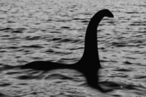 Sự thật gây bất ngờ về quái vật hồ Loch Ness