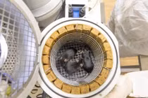 Nga phóng vệ tinh mang chuột, ruồi giấm lên quỹ đạo Trái đất